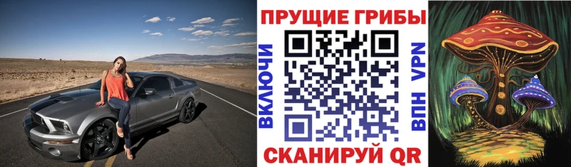 OMG как зайти  Межгорье  Псилоцибиновые грибы мухоморы 